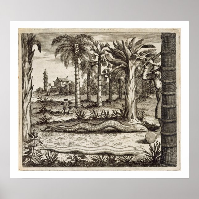 Stone-ormen, från China Illustrated av Athan Poster (Framsidan)