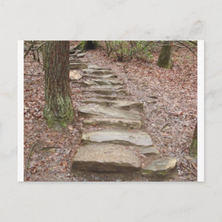 Stone Stair Väg vid Fall Bäck Falls, TN Vykort