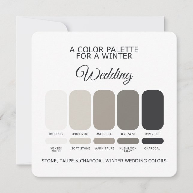 Stone Taupe Charcoal Winter Wedding Palette Card Inbjudningar (Framsida)