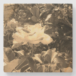 Stone Underlägg konsdesign stil