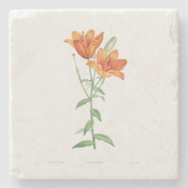 STONE UNDERLÄGG MED BOTANISK ORANGE LILY: REDOUTÉ