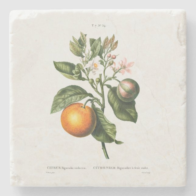 STONE UNDERLÄGG MED REDOUTÉ "BITTER ORANGE" (Framsidan)