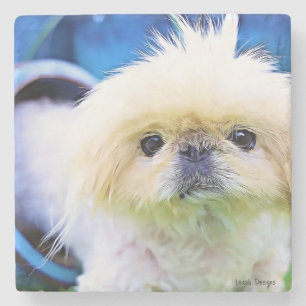 Stone Underlägg Pekingese Marcus!