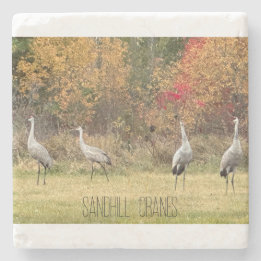 Stone Underlägg - Sandhill Cranes