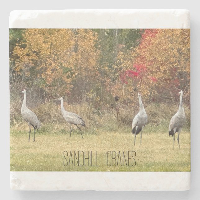 Stone Underlägg - Sandhill Cranes (Framsidan)