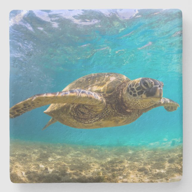 Stone Underlägg-Turtle Stenunderlägg (Framsidan)