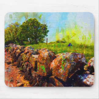 Stone Wall in Summer, Galway, Ireland, Musmatta