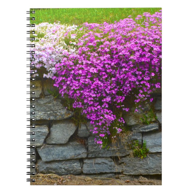 Stone Wall & Phlox bärbar dator Anteckningsbok (Framsidan)