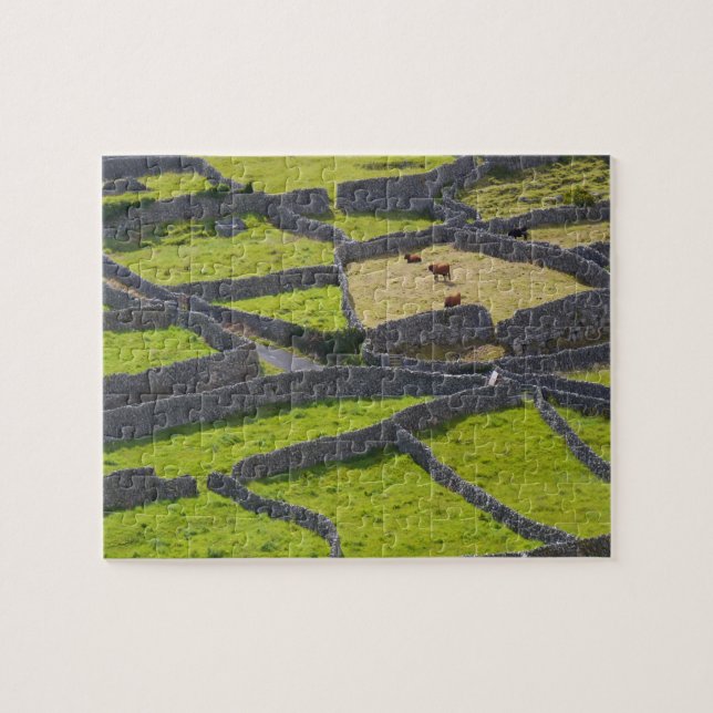 Stone Walls Galway Ireland Pussel (Horisontell)