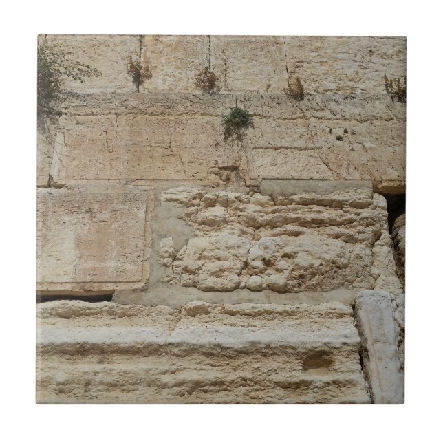 Stones Kotel Western Wall Jerusalem Kakelplatta (Framsidan)