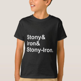 Stony & Järn & Stony-Järn | Meteoritetstyper Tee