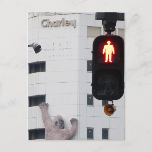 STOP Det finns en gorilla på väggen! Vykort (Framsida)