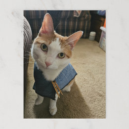 Stop Embarrassing Me! Postcard Helg Vykort