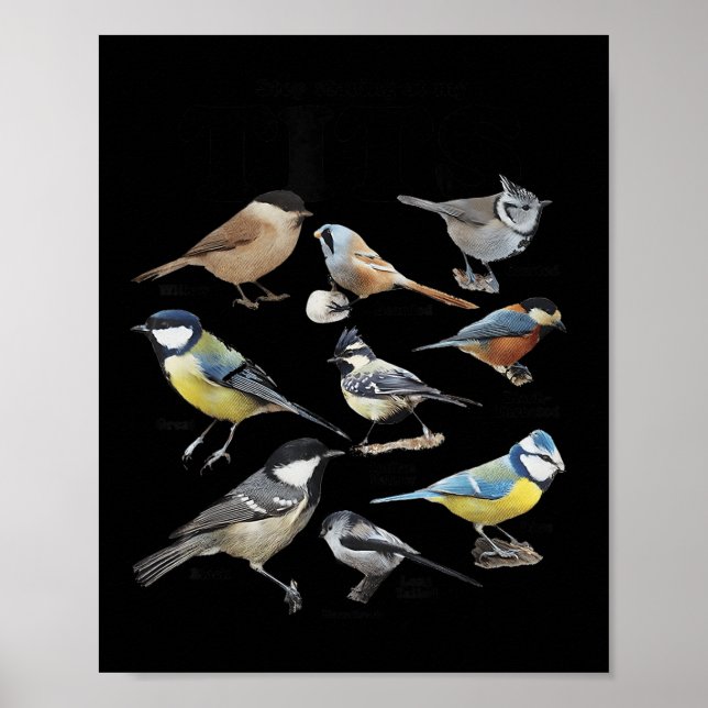 Stop Staring At My Funny Birds Lover Saying Quote  Poster (Framsidan)