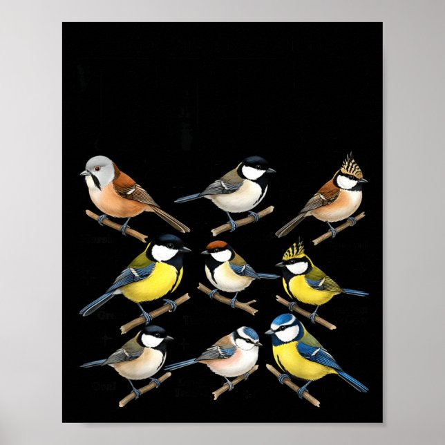 Stop Staring At My Funny Birdwatching Birds Lover  Poster (Framsidan)