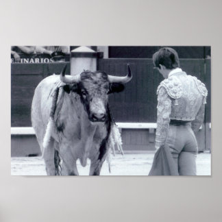 Stopp för tjurfäktning poster