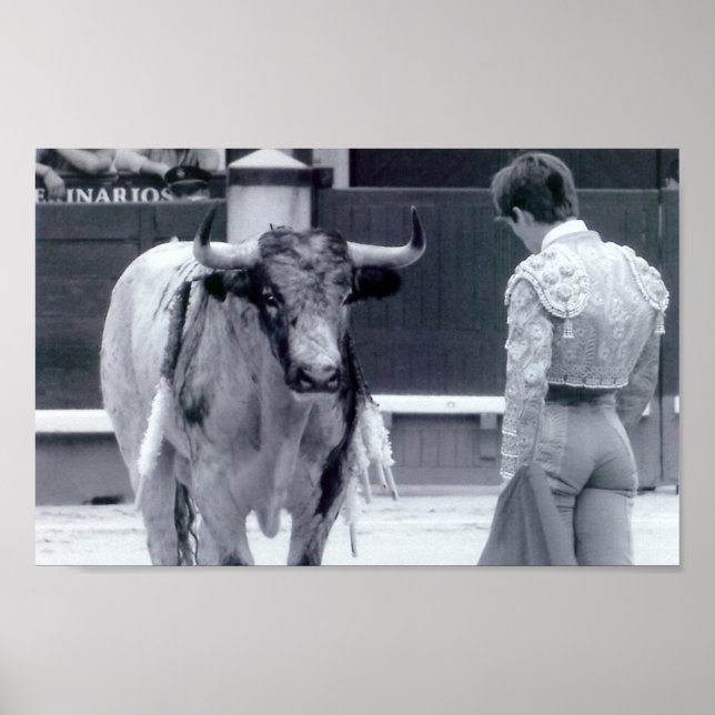 Stopp för tjurfäktning poster (Framsidan)