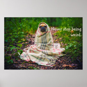 Stoppa aldrig att vara kuslig mops i filt poster