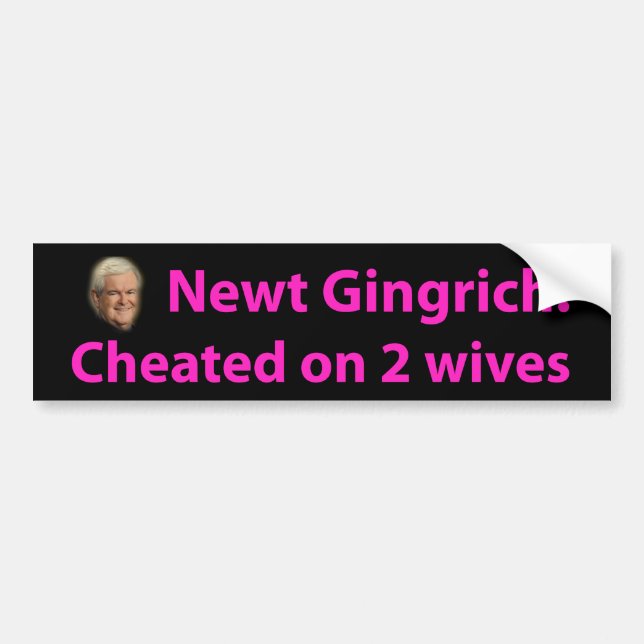 Stoppa Newt Gingrich! Bildekal (Framsidan)