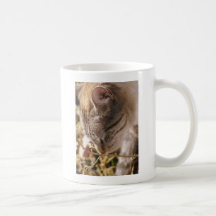 Stoppa och blötlägga blommorna kaffemugg