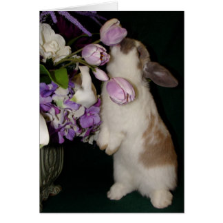 Stoppa och blötlägga blommorna OBS kort