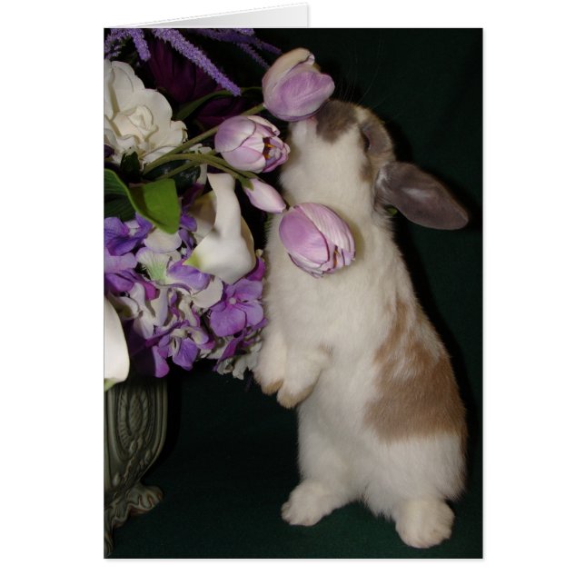 Stoppa och blötlägga blommorna OBS kort (Framsidan)