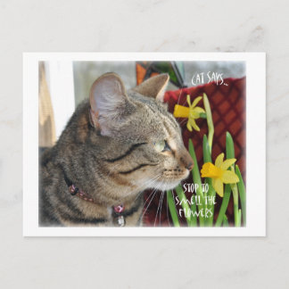 Stoppa och blötlägga blommorna vykort