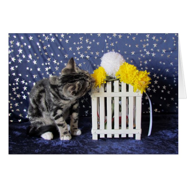 Stoppa och lukta blommorna (Lilo) Hälsningskort (Framsidan Horizontal)