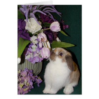 Stoppa och spola blommorna 4 OBS kort