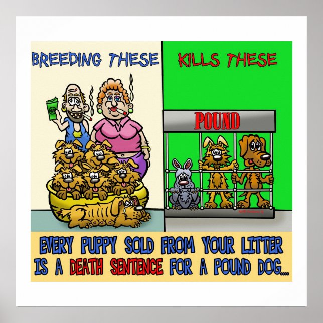 STOPPA POSTER BAKYARD-AVELNING (Framsidan)