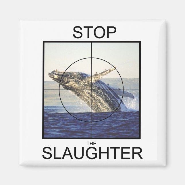 Stoppa Slaktvalar Magnet (Framsidan)