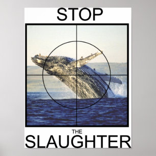 Stoppa Slaktvalar Poster