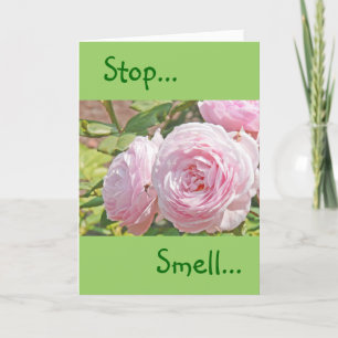 "STOPPA.. SMELL... OCH MINNS RON ..." KORT