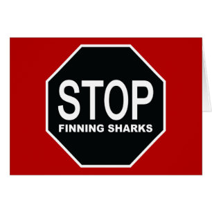 Stoppa sökning efter Sharks-signering Hälsningskort