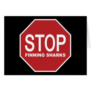 Stoppa sökning efter Sharks-signering Hälsningskort