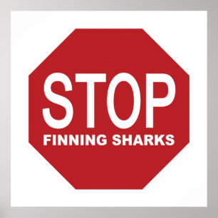 Stoppa sökning efter Sharks-signering Poster