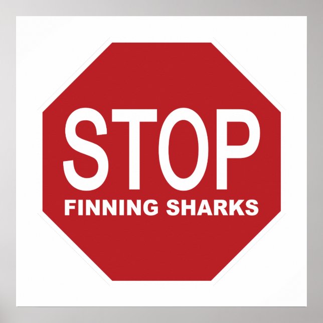 Stoppa sökning efter Sharks-signering Poster (Framsidan)