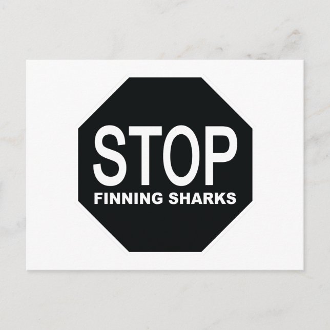 Stoppa sökning efter Sharks-signering Vykort (Framsida)