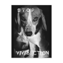 Stoppa vivisektion - vykort