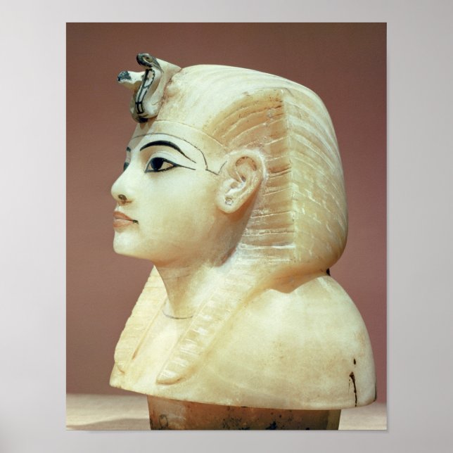 Stoppare från en kanopisk signal poster (Framsidan)