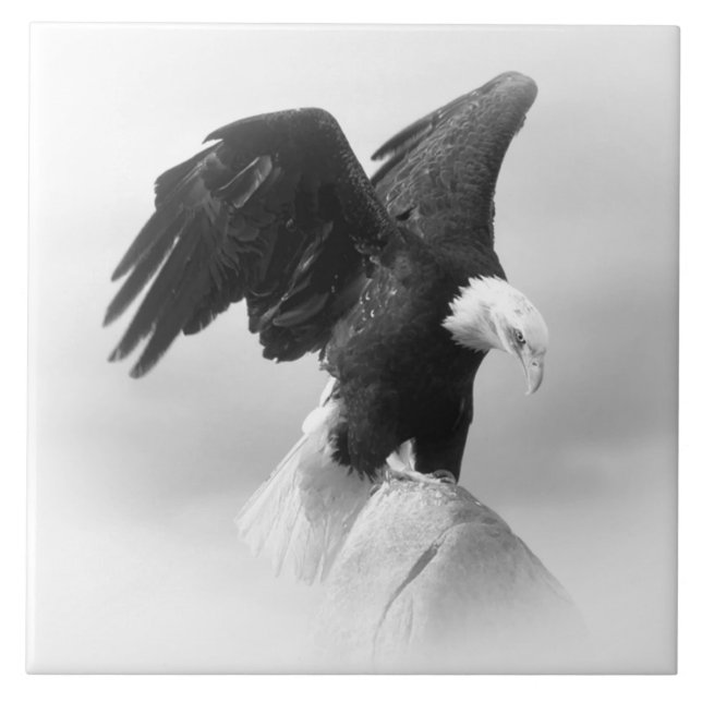 Stor (6 tum x 6 tum) keramiskt fotouppställning kakelplatta (Framsidan)