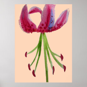 Stor akvarell modern blomsterkonst rosa lilja poster