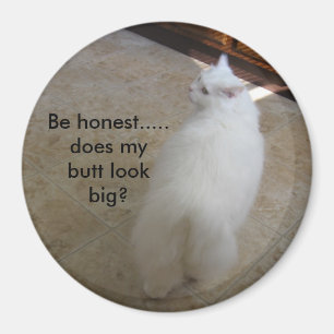 Stor ända? - Ingen svankatt Magnet