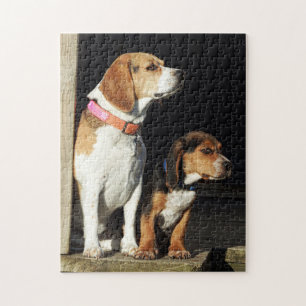 Stor Beaglesyster & lite broderBeagle Pussel