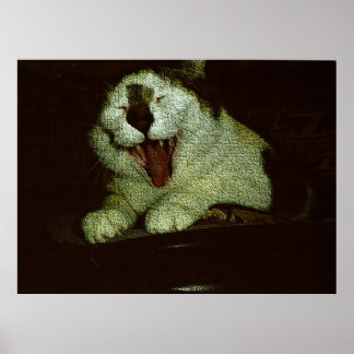 Stor Bebis Bud Poster