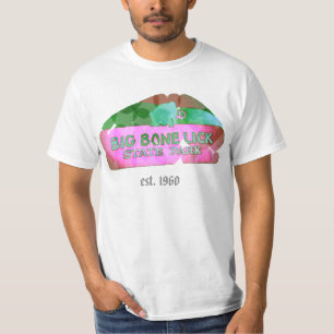 Stor benaningdelstatspark - utslagsplatsskjorta t shirt