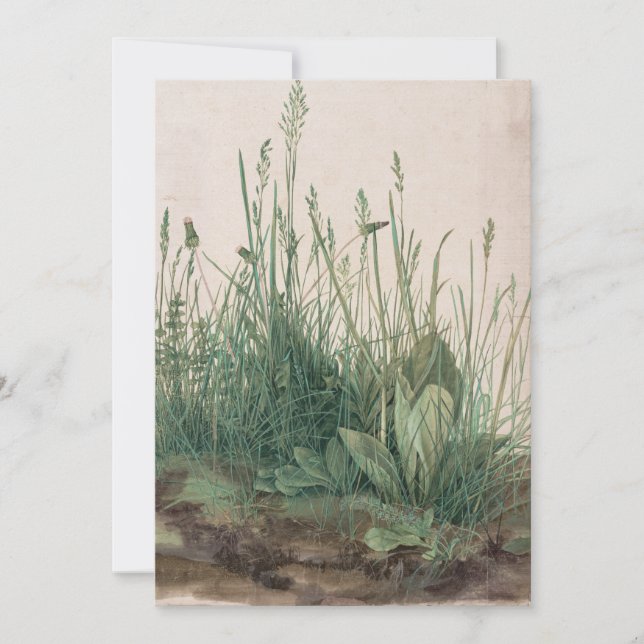 Stor Biet i Turf av Albrecht Durer (Framsida)