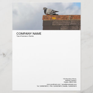 Stor Bild Header - Bra God morgon Pigeon Brevhuvud
