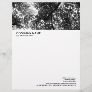 Stor Bild Header - Woodland Canopy Brevhuvud