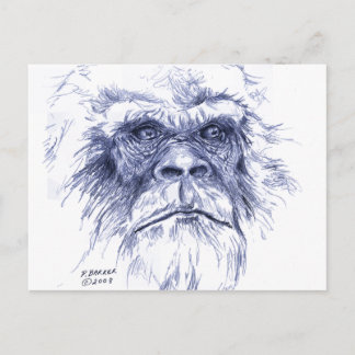 Stor Blå Sasquatch Vykort
